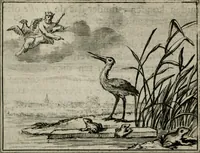 An illustration from Sinryke fabulen : verklaart en toegepast tot alderley zeede-lessen, dienstig om waargenoomen te werden in het menschelijke en burgerlijke leeven (1685)