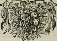 Picture 29 of 133 from Sinryke fabulen : verklaart en toegepast tot alderley zeede-lessen, dienstig om waargenoomen te werden in het menschelijke en burgerlijke leeven (1685), leaf 145