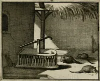 Picture 35 of 133 from Sinryke fabulen : verklaart en toegepast tot alderley zeede-lessen, dienstig om waargenoomen te werden in het menschelijke en burgerlijke leeven (1685), leaf 170