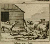 Picture 38 of 133 from Sinryke fabulen : verklaart en toegepast tot alderley zeede-lessen, dienstig om waargenoomen te werden in het menschelijke en burgerlijke leeven (1685), leaf 182
