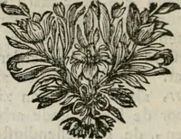 Picture 42 of 133 from Sinryke fabulen : verklaart en toegepast tot alderley zeede-lessen, dienstig om waargenoomen te werden in het menschelijke en burgerlijke leeven (1685), leaf 199