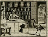 Picture 46 of 133 from Sinryke fabulen : verklaart en toegepast tot alderley zeede-lessen, dienstig om waargenoomen te werden in het menschelijke en burgerlijke leeven (1685), leaf 220