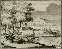 Picture 48 of 133 from Sinryke fabulen : verklaart en toegepast tot alderley zeede-lessen, dienstig om waargenoomen te werden in het menschelijke en burgerlijke leeven (1685), leaf 226