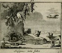 Picture 52 of 133 from Sinryke fabulen : verklaart en toegepast tot alderley zeede-lessen, dienstig om waargenoomen te werden in het menschelijke en burgerlijke leeven (1685), leaf 244