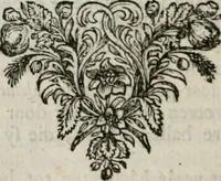 Picture 54 of 133 from Sinryke fabulen : verklaart en toegepast tot alderley zeede-lessen, dienstig om waargenoomen te werden in het menschelijke en burgerlijke leeven (1685), leaf 255