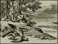 An illustration from Sinryke fabulen : verklaart en toegepast tot alderley zeede-lessen, dienstig om waargenoomen te werden in het menschelijke en burgerlijke leeven (1685)