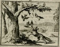 An illustration from Sinryke fabulen : verklaart en toegepast tot alderley zeede-lessen, dienstig om waargenoomen te werden in het menschelijke en burgerlijke leeven (1685)