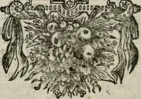 Picture 65 of 133 from Sinryke fabulen : verklaart en toegepast tot alderley zeede-lessen, dienstig om waargenoomen te werden in het menschelijke en burgerlijke leeven (1685), leaf 299