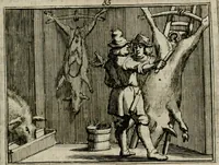 Picture 71 of 133 from Sinryke fabulen : verklaart en toegepast tot alderley zeede-lessen, dienstig om waargenoomen te werden in het menschelijke en burgerlijke leeven (1685), leaf 326
