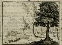 An illustration from Sinryke fabulen : verklaart en toegepast tot alderley zeede-lessen, dienstig om waargenoomen te werden in het menschelijke en burgerlijke leeven (1685)