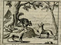 An illustration from Sinryke fabulen : verklaart en toegepast tot alderley zeede-lessen, dienstig om waargenoomen te werden in het menschelijke en burgerlijke leeven (1685)