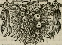 Picture 84 of 133 from Sinryke fabulen : verklaart en toegepast tot alderley zeede-lessen, dienstig om waargenoomen te werden in het menschelijke en burgerlijke leeven (1685), leaf 395