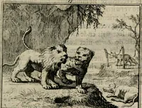 Picture 87 of 133 from Sinryke fabulen : verklaart en toegepast tot alderley zeede-lessen, dienstig om waargenoomen te werden in het menschelijke en burgerlijke leeven (1685), leaf 404