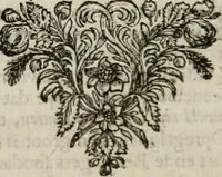Picture 88 of 133 from Sinryke fabulen : verklaart en toegepast tot alderley zeede-lessen, dienstig om waargenoomen te werden in het menschelijke en burgerlijke leeven (1685), leaf 413