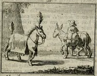 An illustration from Sinryke fabulen : verklaart en toegepast tot alderley zeede-lessen, dienstig om waargenoomen te werden in het menschelijke en burgerlijke leeven (1685)