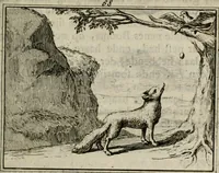 An illustration from Sinryke fabulen : verklaart en toegepast tot alderley zeede-lessen, dienstig om waargenoomen te werden in het menschelijke en burgerlijke leeven (1685)