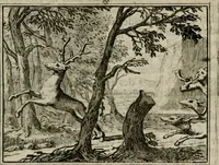Picture 93 of 133 from Sinryke fabulen : verklaart en toegepast tot alderley zeede-lessen, dienstig om waargenoomen te werden in het menschelijke en burgerlijke leeven (1685), leaf 438
