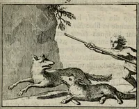 Picture 94 of 133 from Sinryke fabulen : verklaart en toegepast tot alderley zeede-lessen, dienstig om waargenoomen te werden in het menschelijke en burgerlijke leeven (1685), leaf 446