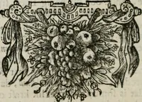 Picture 101 of 133 from Sinryke fabulen : verklaart en toegepast tot alderley zeede-lessen, dienstig om waargenoomen te werden in het menschelijke en burgerlijke leeven (1685), leaf 505