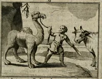 An illustration from Sinryke fabulen : verklaart en toegepast tot alderley zeede-lessen, dienstig om waargenoomen te werden in het menschelijke en burgerlijke leeven (1685)