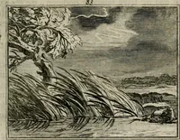 Picture 108 of 133 from Sinryke fabulen : verklaart en toegepast tot alderley zeede-lessen, dienstig om waargenoomen te werden in het menschelijke en burgerlijke leeven (1685), leaf 568