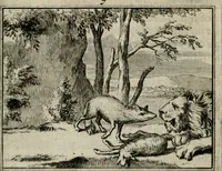 An illustration from Sinryke fabulen : verklaart en toegepast tot alderley zeede-lessen, dienstig om waargenoomen te werden in het menschelijke en burgerlijke leeven (1685)