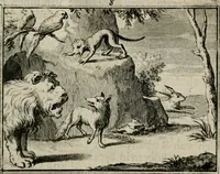 Picture 11 of 133 from Sinryke fabulen : verklaart en toegepast tot alderley zeede-lessen, dienstig om waargenoomen te werden in het menschelijke en burgerlijke leeven (1685), leaf 62
