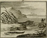 An illustration from Sinryke fabulen : verklaart en toegepast tot alderley zeede-lessen, dienstig om waargenoomen te werden in het menschelijke en burgerlijke leeven (1685)