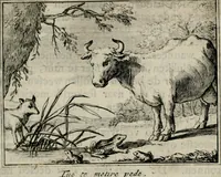 Picture 16 of 133 from Sinryke fabulen : verklaart en toegepast tot alderley zeede-lessen, dienstig om waargenoomen te werden in het menschelijke en burgerlijke leeven (1685), leaf 86