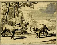 An illustration from Sinryke fabulen, : verklaart en toegepast tot alderley zeede-lessen, dienstig om waargenoomen te werden in het menschelijke en burgerlijke leeven (1685)