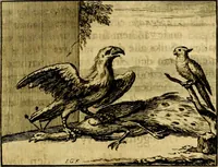An illustration from Sinryke fabulen, : verklaart en toegepast tot alderley zeede-lessen, dienstig om waargenoomen te werden in het menschelijke en burgerlijke leeven (1685)