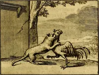 An illustration from Sinryke fabulen, : verklaart en toegepast tot alderley zeede-lessen, dienstig om waargenoomen te werden in het menschelijke en burgerlijke leeven (1685)