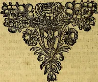 An illustration from Sinryke fabulen, : verklaart en toegepast tot alderley zeede-lessen, dienstig om waargenoomen te werden in het menschelijke en burgerlijke leeven (1685)