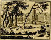 An illustration from Sinryke fabulen, : verklaart en toegepast tot alderley zeede-lessen, dienstig om waargenoomen te werden in het menschelijke en burgerlijke leeven (1685)