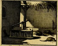 An illustration from Sinryke fabulen, : verklaart en toegepast tot alderley zeede-lessen, dienstig om waargenoomen te werden in het menschelijke en burgerlijke leeven (1685)