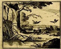 An illustration from Sinryke fabulen, : verklaart en toegepast tot alderley zeede-lessen, dienstig om waargenoomen te werden in het menschelijke en burgerlijke leeven (1685)