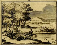 An illustration from Sinryke fabulen, : verklaart en toegepast tot alderley zeede-lessen, dienstig om waargenoomen te werden in het menschelijke en burgerlijke leeven (1685)