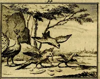 An illustration from Sinryke fabulen, : verklaart en toegepast tot alderley zeede-lessen, dienstig om waargenoomen te werden in het menschelijke en burgerlijke leeven (1685)