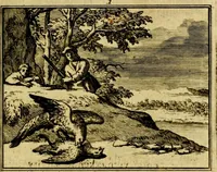 An illustration from Sinryke fabulen, : verklaart en toegepast tot alderley zeede-lessen, dienstig om waargenoomen te werden in het menschelijke en burgerlijke leeven (1685)