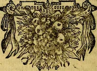 An illustration from Sinryke fabulen, : verklaart en toegepast tot alderley zeede-lessen, dienstig om waargenoomen te werden in het menschelijke en burgerlijke leeven (1685)