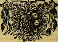 An illustration from Sinryke fabulen, : verklaart en toegepast tot alderley zeede-lessen, dienstig om waargenoomen te werden in het menschelijke en burgerlijke leeven (1685)