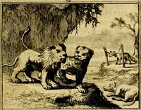 An illustration from Sinryke fabulen, : verklaart en toegepast tot alderley zeede-lessen, dienstig om waargenoomen te werden in het menschelijke en burgerlijke leeven (1685)