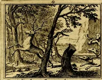 An illustration from Sinryke fabulen, : verklaart en toegepast tot alderley zeede-lessen, dienstig om waargenoomen te werden in het menschelijke en burgerlijke leeven (1685)