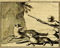 An illustration from Sinryke fabulen, : verklaart en toegepast tot alderley zeede-lessen, dienstig om waargenoomen te werden in het menschelijke en burgerlijke leeven (1685)