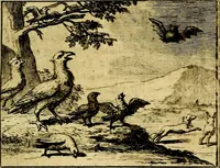 An illustration from Sinryke fabulen, : verklaart en toegepast tot alderley zeede-lessen, dienstig om waargenoomen te werden in het menschelijke en burgerlijke leeven (1685)