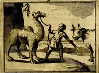 An illustration from Sinryke fabulen, : verklaart en toegepast tot alderley zeede-lessen, dienstig om waargenoomen te werden in het menschelijke en burgerlijke leeven (1685)