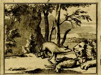 An illustration from Sinryke fabulen, : verklaart en toegepast tot alderley zeede-lessen, dienstig om waargenoomen te werden in het menschelijke en burgerlijke leeven (1685)