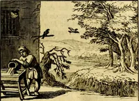 An illustration from Sinryke fabulen, : verklaart en toegepast tot alderley zeede-lessen, dienstig om waargenoomen te werden in het menschelijke en burgerlijke leeven (1685)