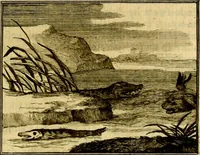 An illustration from Sinryke fabulen, : verklaart en toegepast tot alderley zeede-lessen, dienstig om waargenoomen te werden in het menschelijke en burgerlijke leeven (1685)