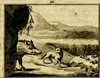 An illustration from Sinryke fabulen, : verklaart en toegepast tot alderley zeede-lessen, dienstig om waargenoomen te werden in het menschelijke en burgerlijke leeven (1685)
